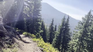 Descending the Windy Alpine Forest – Three Fingered Jack Loop – Central Oregon – 4K