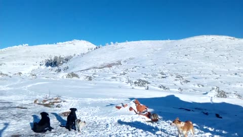 الثلوج في جبال الريف بالمغرب 🇲🇦