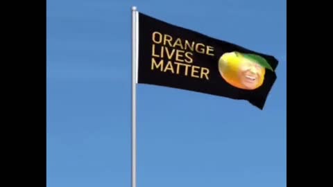 Orange Lives Matter: Carpe Donktum