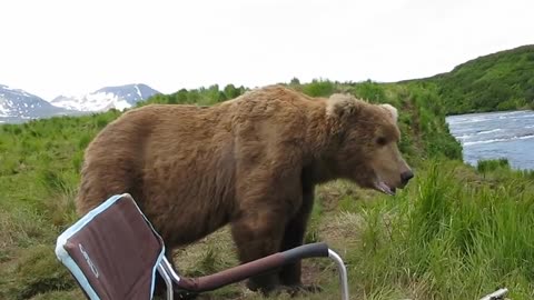 A big Bear comes and sits next to guy