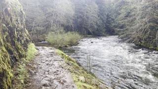 Incredible Shoreline Trail – Wild & Scenic Salmon River – Mount Hood – 4K