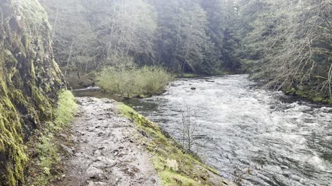 Incredible Shoreline Trail – Wild & Scenic Salmon River – Mount Hood – 4K