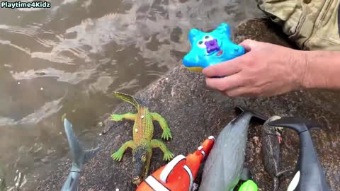 Sea Animal Toys This Summer at the Shore Of The Sea