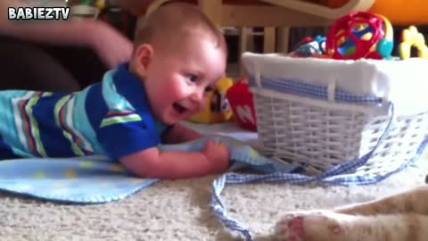 Adorable Cats and Babies Cuddling