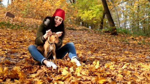 Girl stroking her dog in nature in autumn