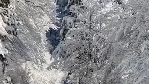 Winter in the Krasnodar