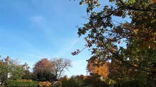 Himmel in Berlin am 17.10.2022 um 11:50 Uhr