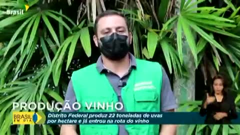 Bolsonaro: Produção de Vinhos no Brasil