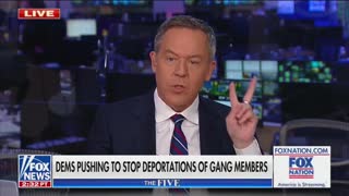 Greg Gutfeld: adopt a gang banger