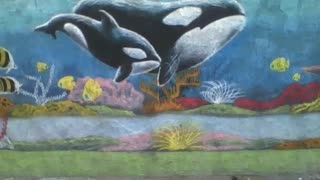 2 orcas painted on the street wall, there's other fish, bottom of the sea like [Nature & Animals]