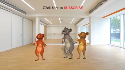 Rat funny video