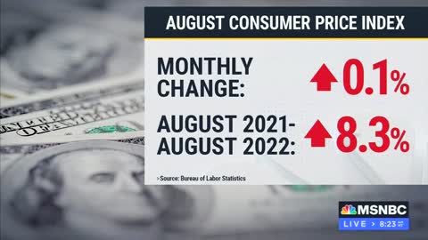 MSNBC’s Stephanie Ruhle on Biden’s Spin on ‘Decreasing’ Inflation: ‘It Ain’t Happening’