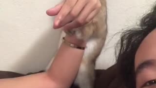 Bunny Tries To Steal Man's Girlfriend