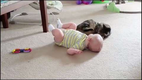 Baby Cat Fun video