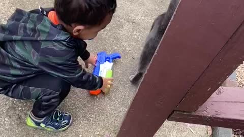 Toddler playing with cat