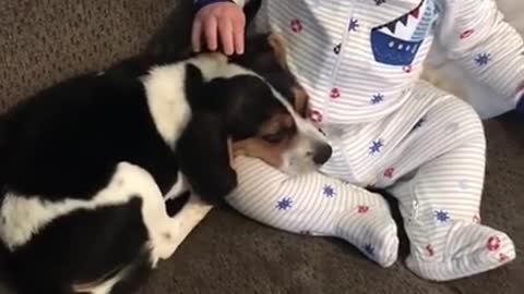 LOVELY MOMENT! DOG PUPPY LICKS BABY AND THE BABY'S REACTION IS LOVELY!