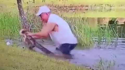 This man saved the puppy from getting eaten by an alligator and never dropped his cigar, a true lege