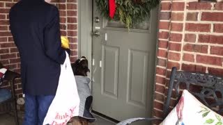 Dog opening the door for his owner