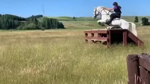 Crazy Horse Fails 2021 _ Horsa Fails and Falls _ Funny Horse Video