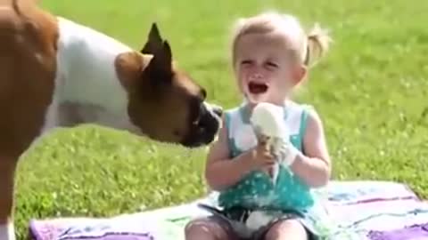 Funny video Dog and kids