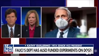 🚨FLASHBACK: Tucker Carlson Exposes Fauci's Criminal Research!