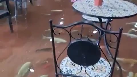 Sweet Fishs Café In Thailand where the floor is filled with water