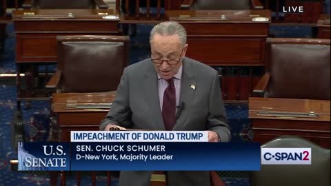 Senate Majority Leader Chuck Schumer Determined to Prove Trump caused an "erection."