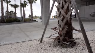 St Pete Pier