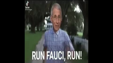 The Hunt Is On Run Fauci