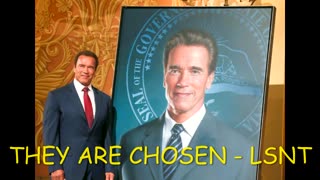 Arnold Schwarzenegger Spoke At The Bohemian Grove In 2010