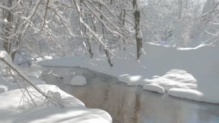 Snowy forest with a brook running in it