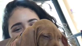 Girl scratching brown dogs ear zoom in