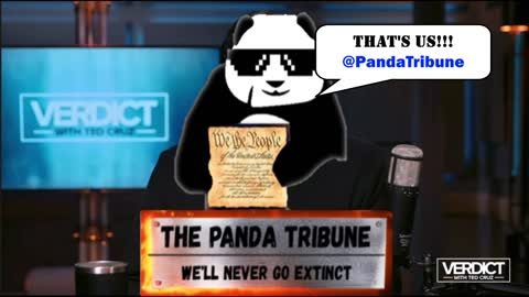 The Panda Tribune Asks Senator Ted Cruz A Question!