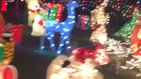 Christmas decoration lights