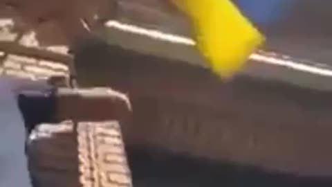 The Poles Are Getting Impatient! They Have Started Tearing Down Ukrainian Flags In Their Cities