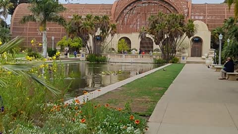 The Pond In Balboa Park