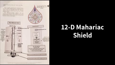 Tribal Shield Dynamics/ Angelic Humans/Maharic Shield/Ashayana Deane Reading