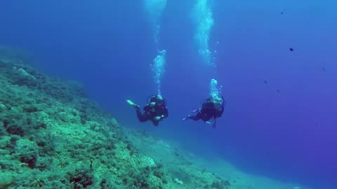 Amezing Scuba Diving