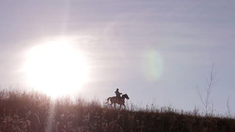 Horseman rider on horse on beautiful background of sunset