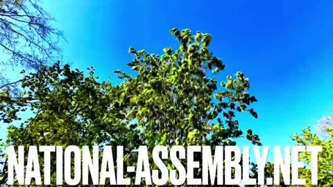 National Assembly Introduction