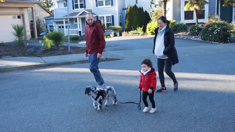 A fun family walk with the dog.