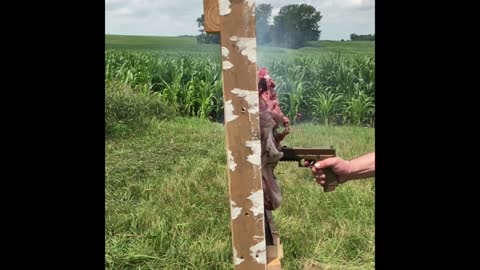 Muzzle Standoff Device Soft Tissue Test