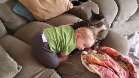 funny videos, kids play with animals