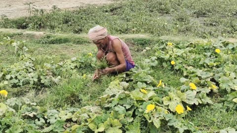 Rural india (UP) || Indian Village Daily Morning Routine || Indian real village