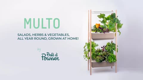 MULTO | Your own kitchen farm