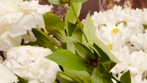 Natural flowers | Short video
