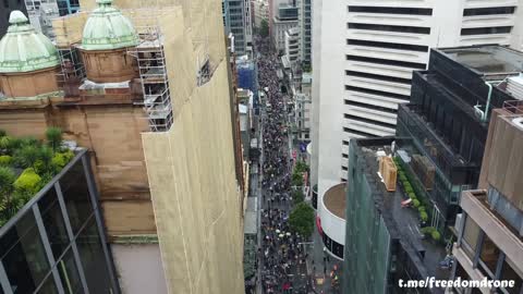 A birds eye view of the Millions March in Sydney
