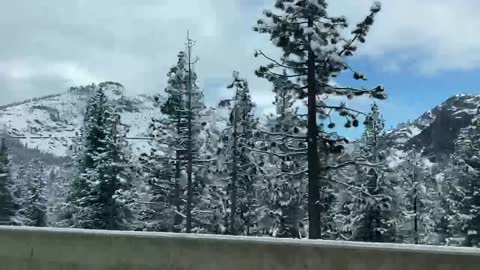 Springtime snow in the Sierra Donner Summit April 14th 2921