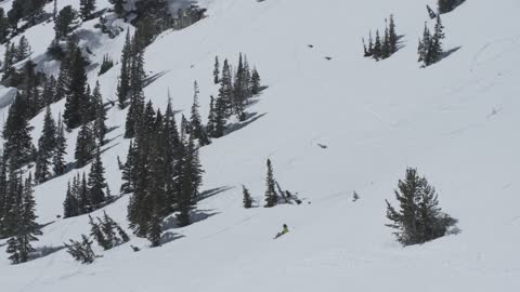 Backflip Ski Fail