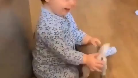 Funny dogs playing with babies